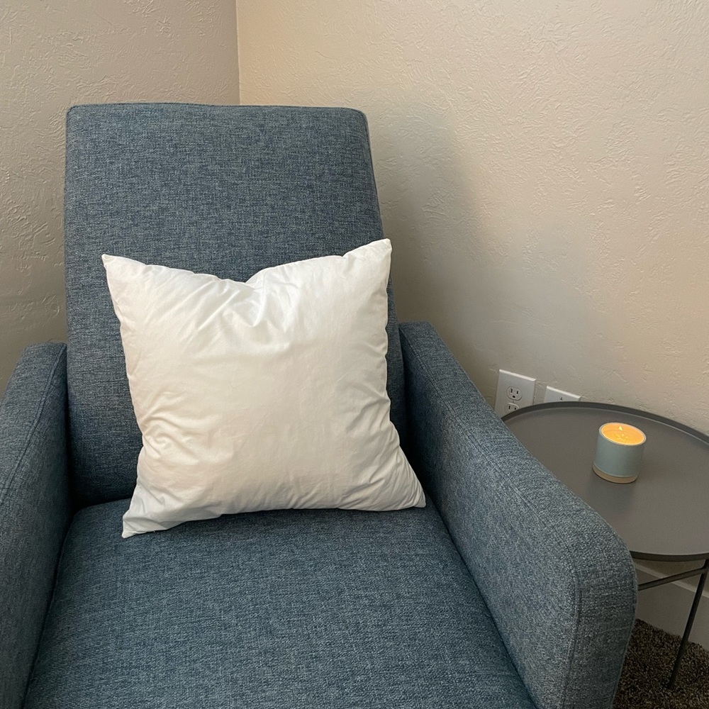 West Elm pillow insert 16 x 16